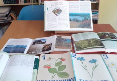 Красные и черные